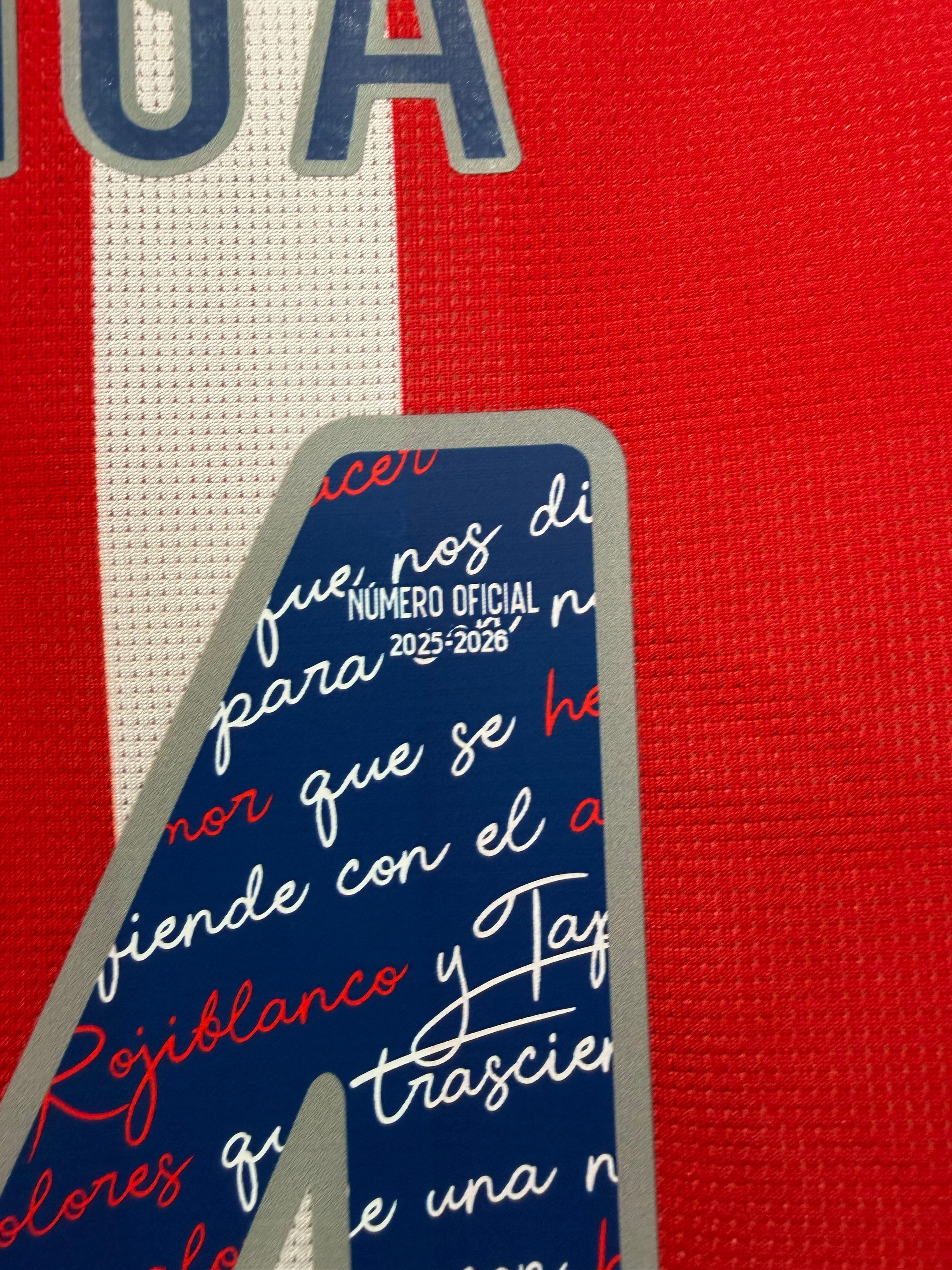 Hormiga González #34 Mens LARGE PUMA Chivas Guadalajara Authentic El Clásico Jersey