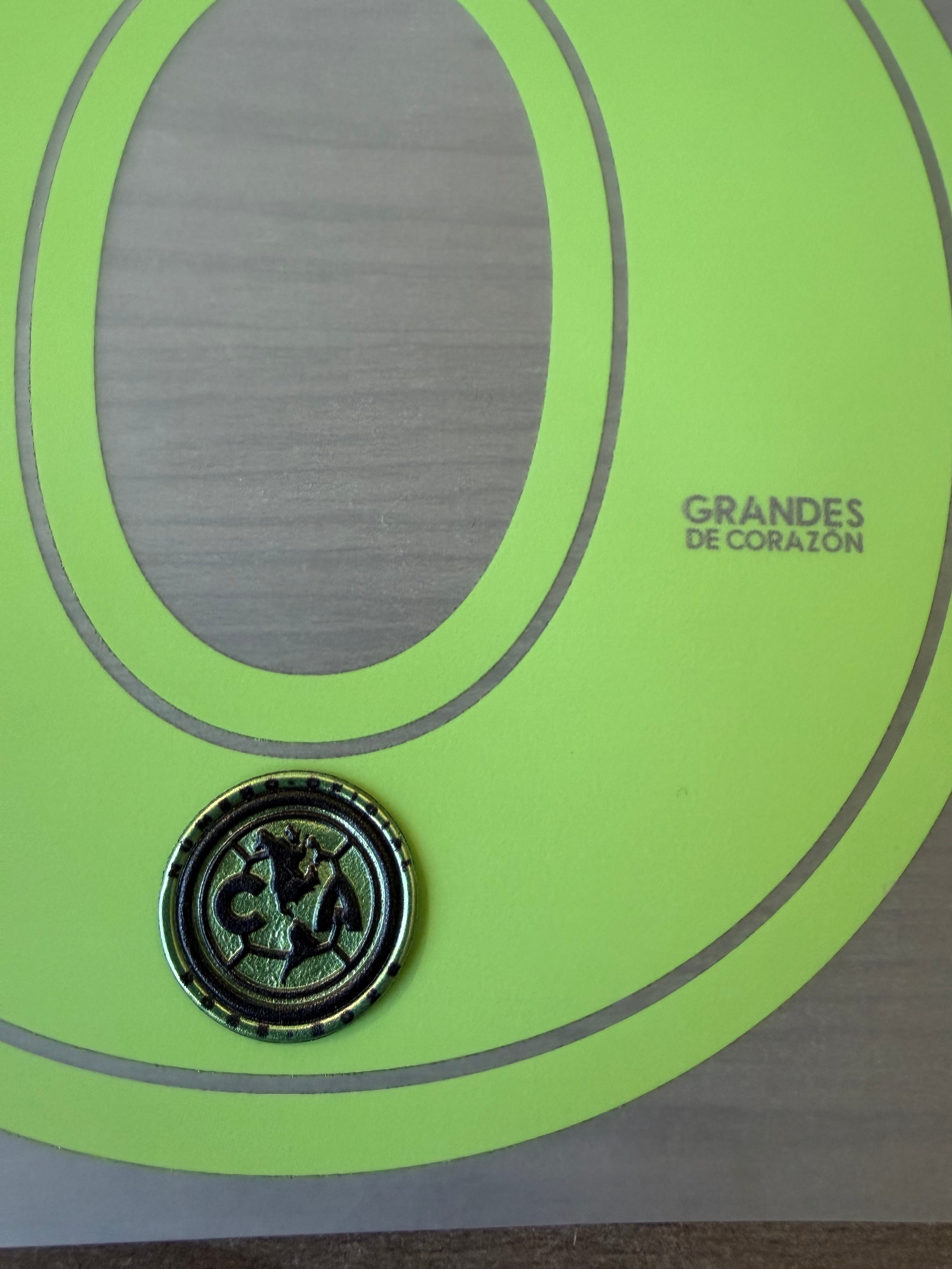 Authentic Player Issued Badges and Name Sets PL/CA