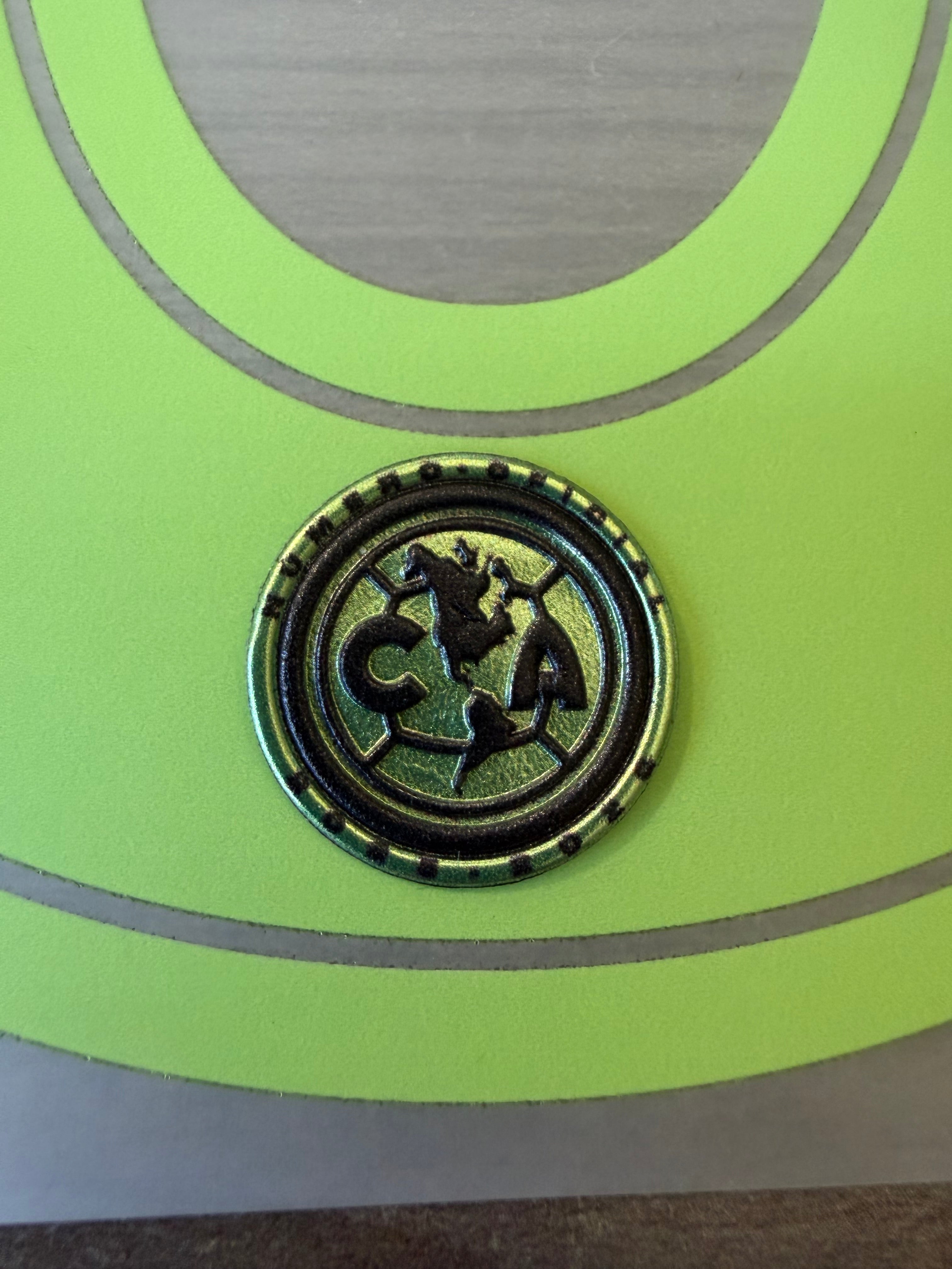 Authentic Player Issued Badges and Name Sets PL/CA