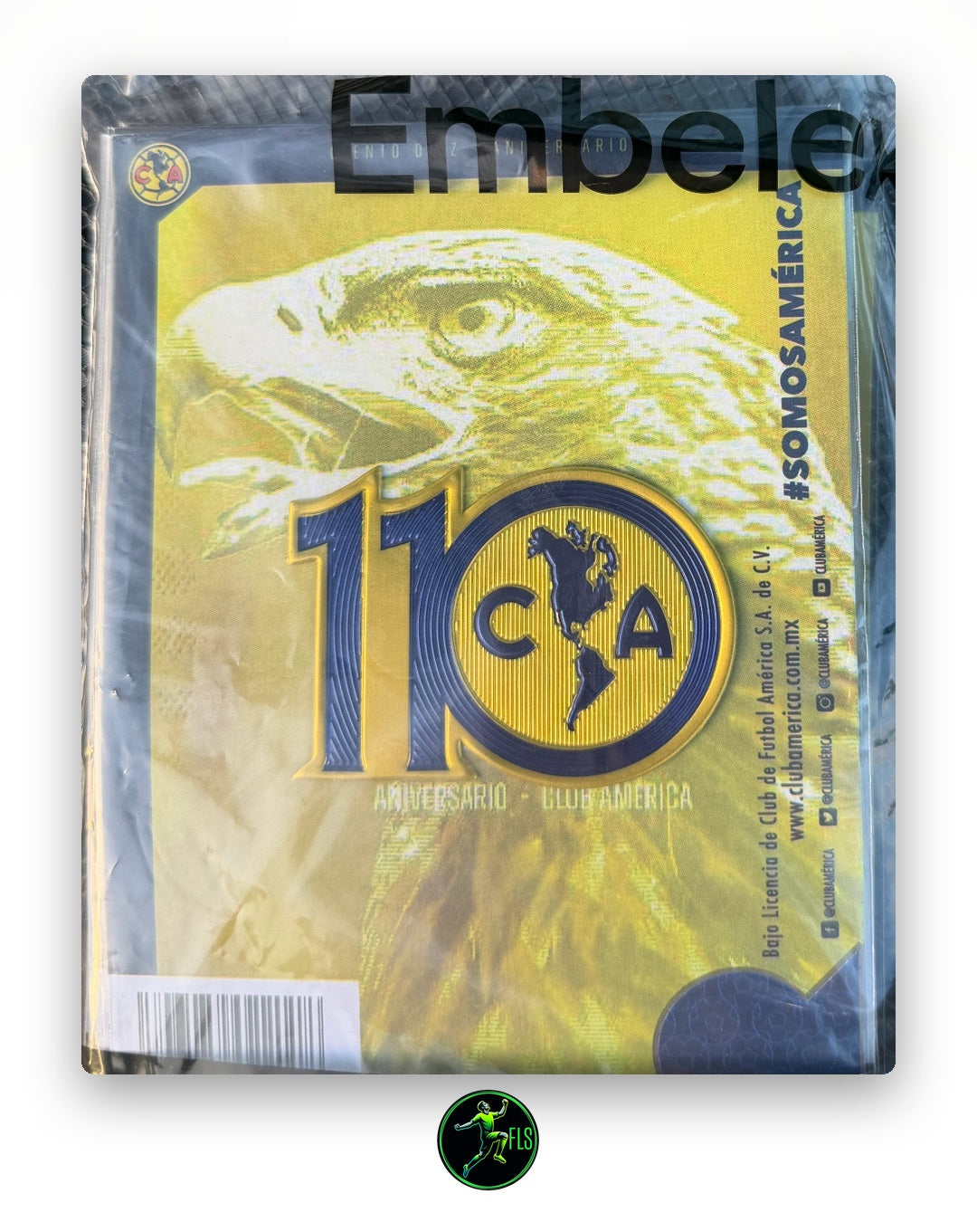 Club America 110th Anniversary badge detail